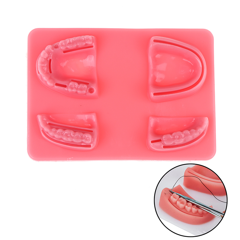 Medical Lab Kit - Dental Gum Skin Suture Surgical Practice