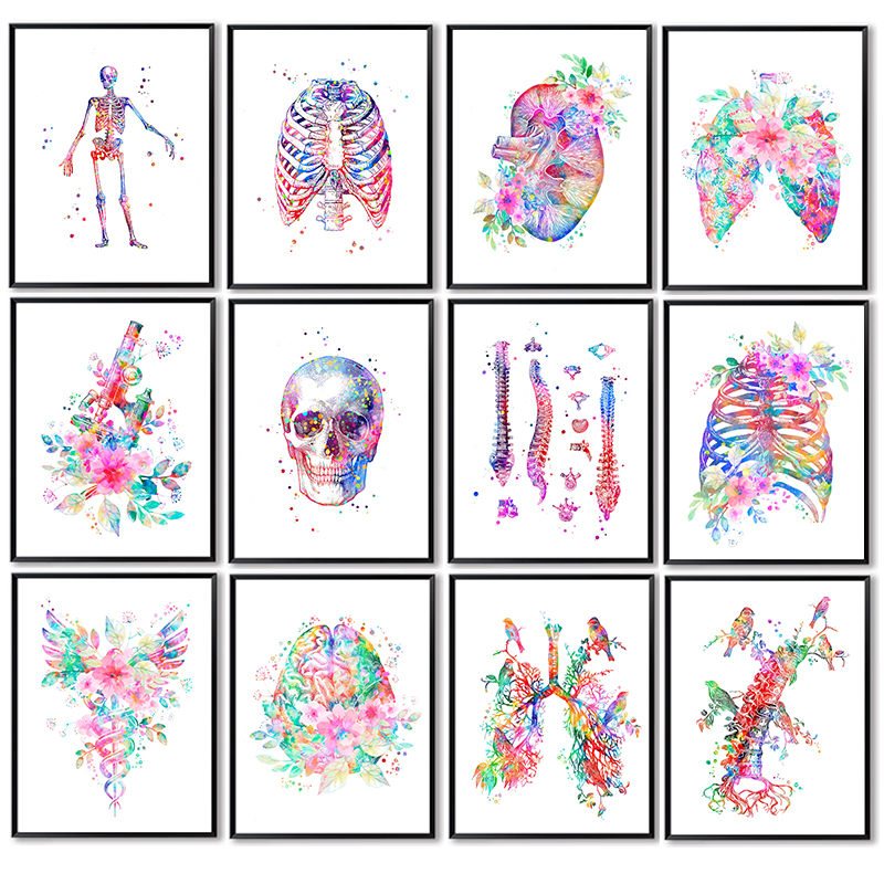 Medical Lab Pictures - Unframe Anatomy Medical Poster Flower Organ