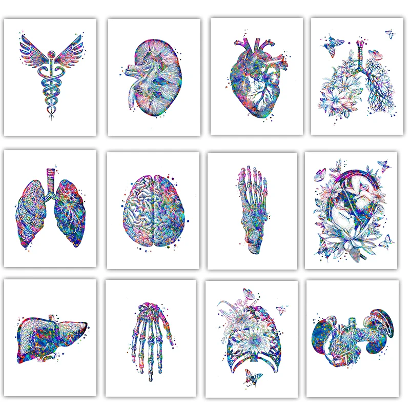 Anatomy Medical Poster Flower  - Medical Lab Pictures review and price