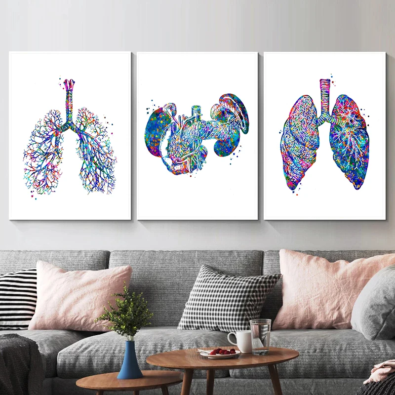 Anatomy Medical Poster Flower  - Medical Lab Pictures review and price