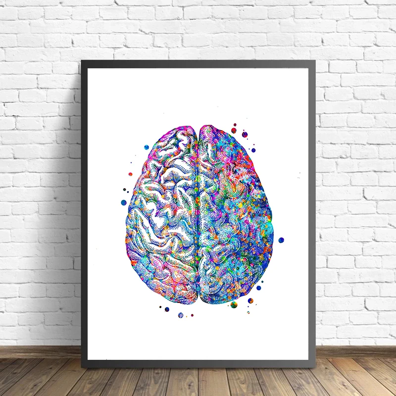Anatomy Medical Poster Flower  - Medical Lab Pictures review and price