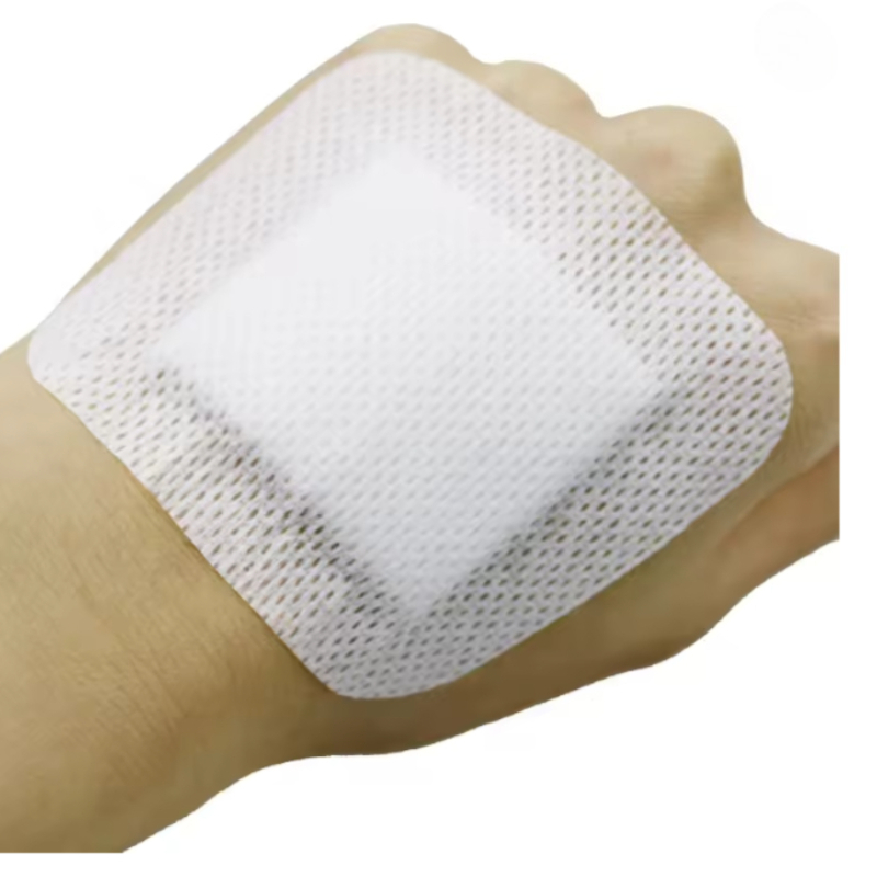 50pcs Non-Woven Medical Adhesi - Medical Lab Kit review and price