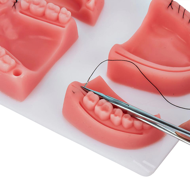 Dental Gum Skin Suture Surgica - Medical Lab Kit review and price