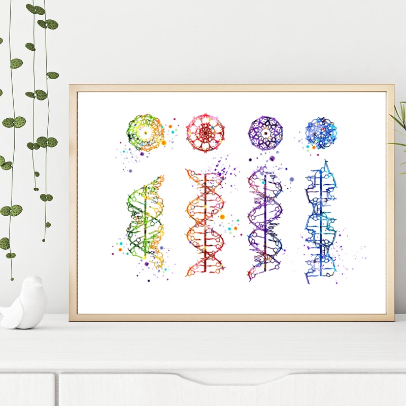 DNA Molecule Print Modern Medi - Medical Lab Pictures review and price