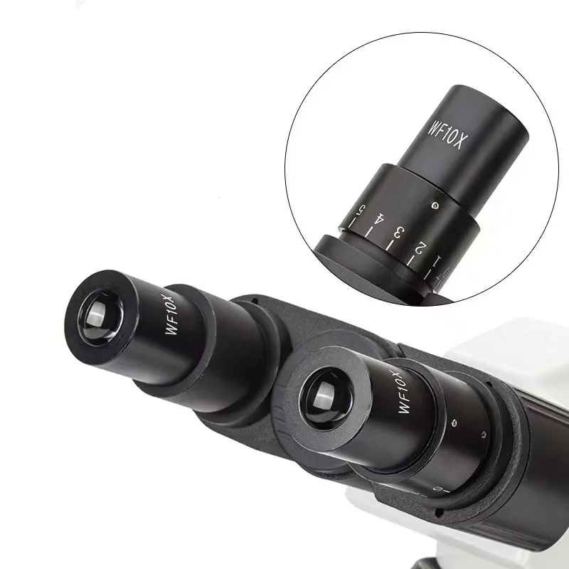 Real Picture WF10x Eyepieces 4 - Medical Lab Pictures review and price